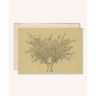 Sustainable card + envelope | Olive tree | Walnut