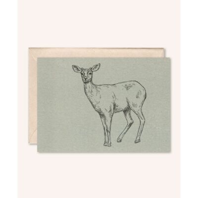 Biglietto di Natale sostenibile + busta | Animale Cervo | abete bianco
