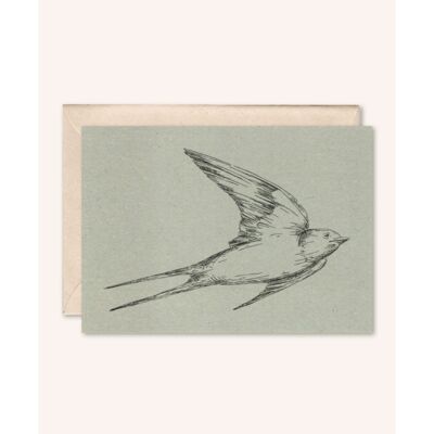 Sustainable card + envelope | swallow | silver fir