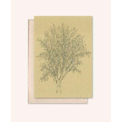 Sustainable card + envelope | Ash tree | Walnut