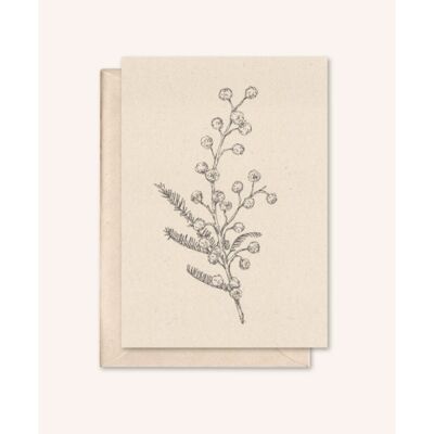 Carte durable + enveloppe | Mimosa | fleur de sureau