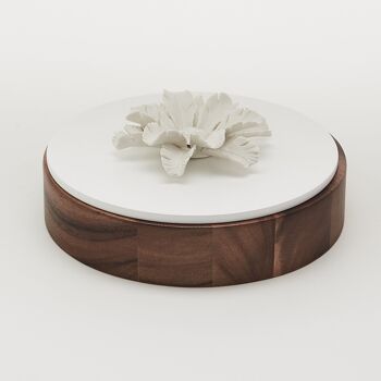 Boîte OKO  XL (bois & blanc)- 20 cm 3
