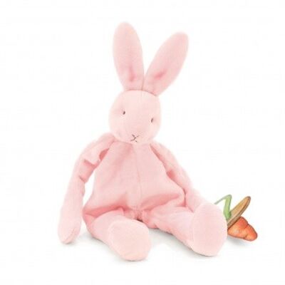 Bunnies By The Bay cuddle cloth with pacifier holder Rabbit pink