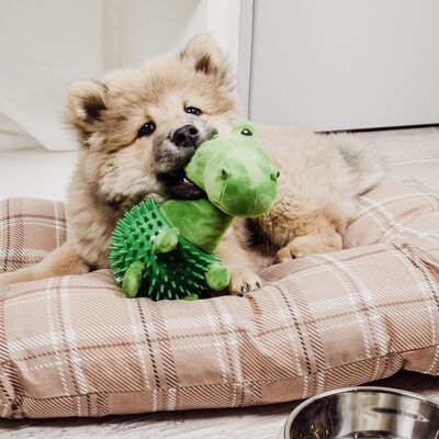 ne&no® Dog Toy Dino/ Plush Toy + Chew Toy + Squeaker