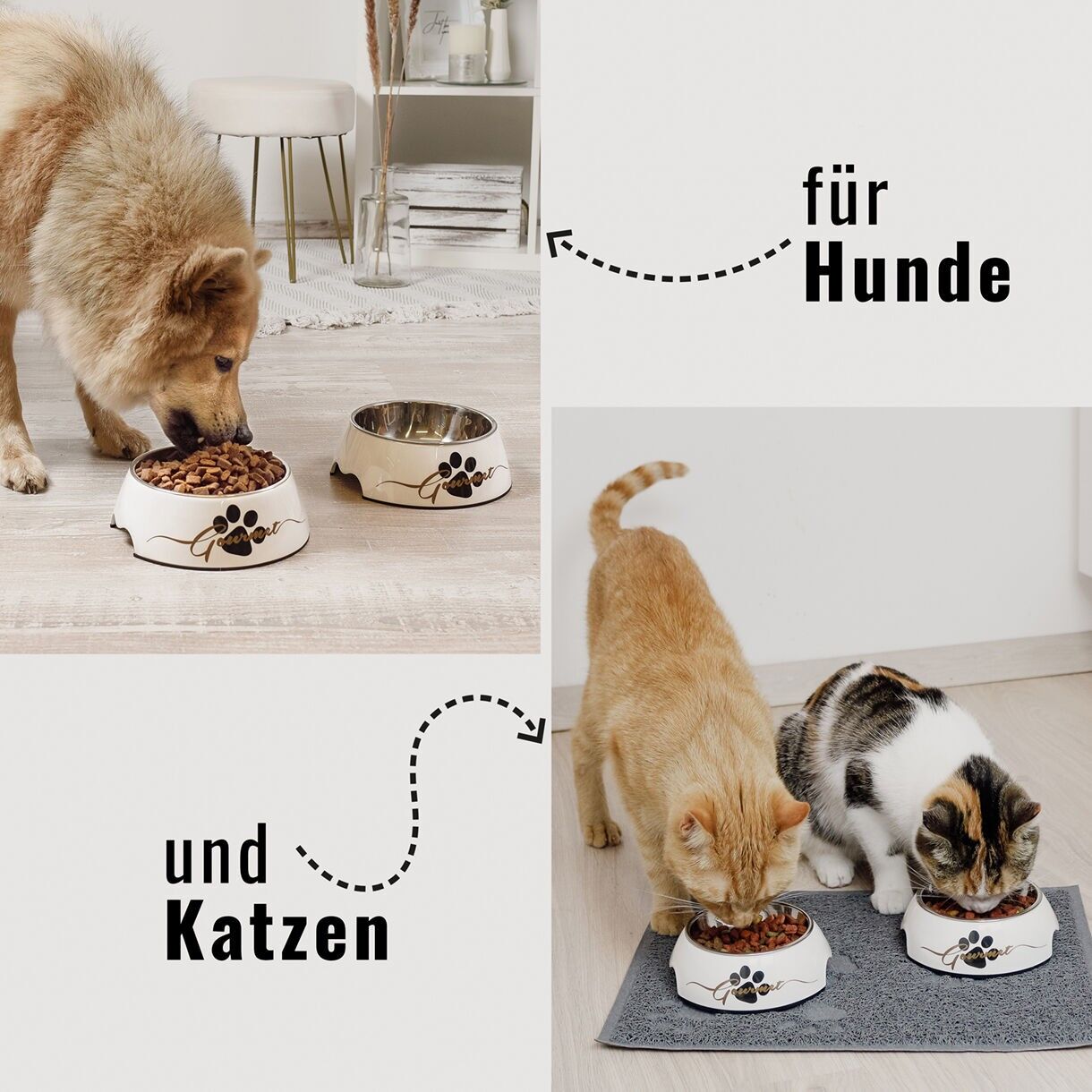 ne&no® Futternapf 2er Set für Hunde [Unique Design by NE&NO]  - Gourmet Design
