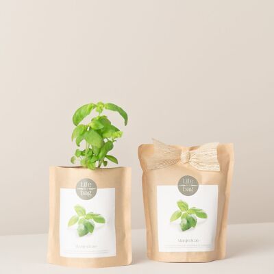 Bolsa de cultivo de albahaca