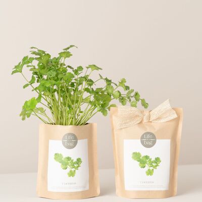 Bolsa de cultivo de cilantro