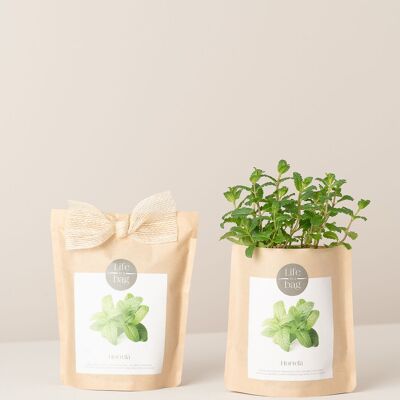 Bolsa de cultivo de menta