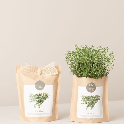 Grow Bag Thyme