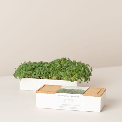 Microgreens Duo Crescione e Rucola