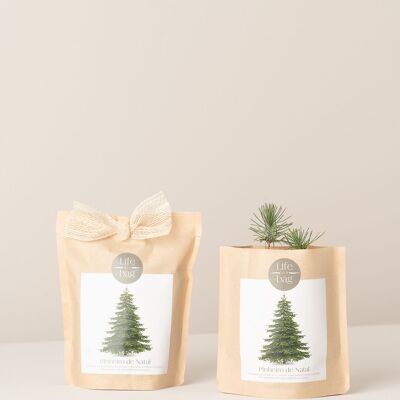 Albero di Natale in sacco da coltivazione