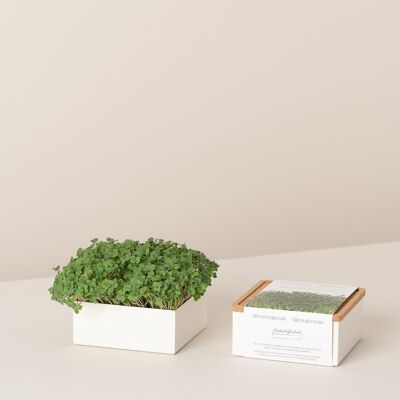 Microgreens Uno Crescione