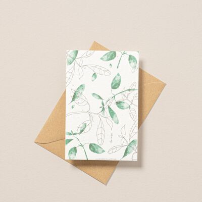 Cartolina piantabile con illustrazione di basilico
