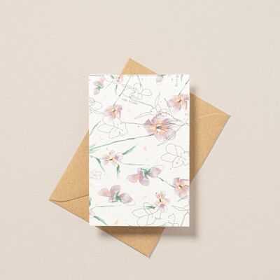 Plantable Postcard with illustration of Pansy