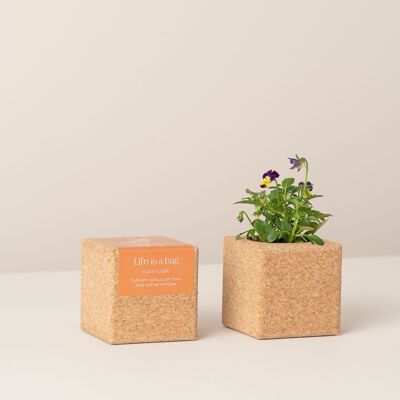 Grow Cube Wild Pansy