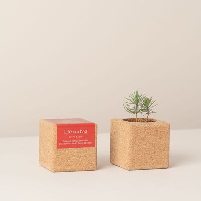 Albero di Natale Grow Cube