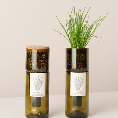 Faire pousser de la ciboulette en bouteille