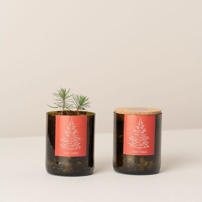 Sapin de Noël du jardin de bouteilles