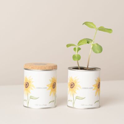 Boîte de conserve « Merci » avec tournesol