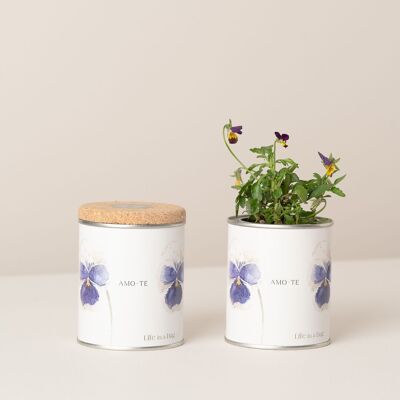 Boîte de conserve « Je t'aime » avec une pensée sauvage