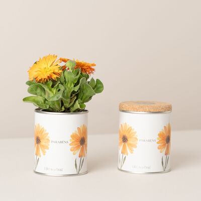 Tin Can "Happy Birthday" can with calendula