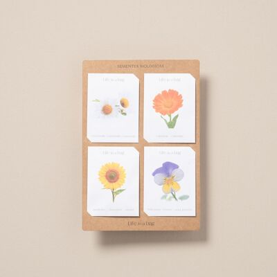 Semillas de flores - Paquete de 4