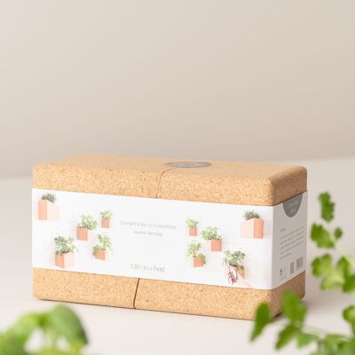 Bloc de culture de menthe et de thym