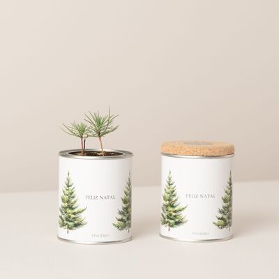 Scatola di latta "Buon Natale" con albero di pino
