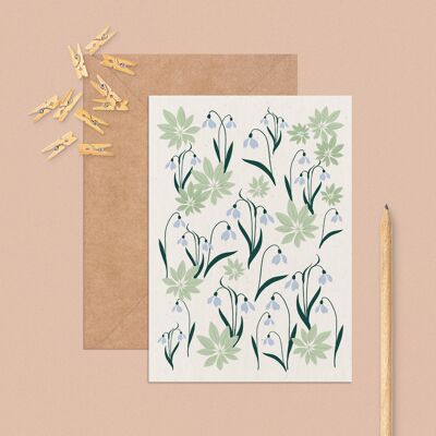 Blooming • Fleurs de Janvier • Carte postale A6