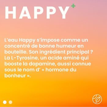 Drink Waters Happy - 470ml - Bouteille Aluminium 7