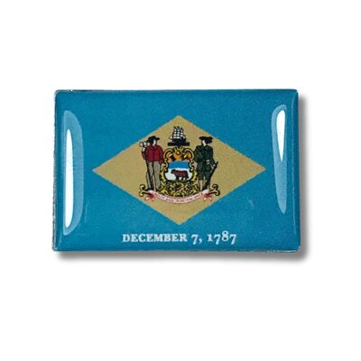 Pin - Bandera Estado delaware - USA