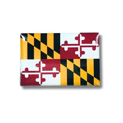 Pin - Bandera Estado Maryland - USA