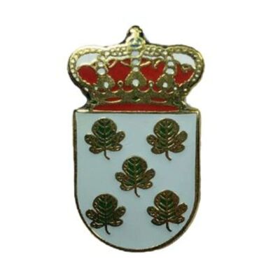 Pin - Fair Shield - Badajoz - Spain