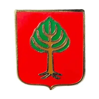 Pin - Aduna Shield - Guipúzcoa - Spain