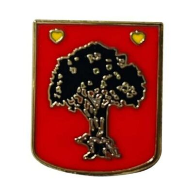 Pin's - Bouclier Usurbil - Guipúzcoa - Espagne