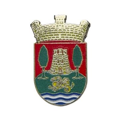 Pin's - Bouclier Arrasate-Mondragon - Guipúzcoa - Espagne