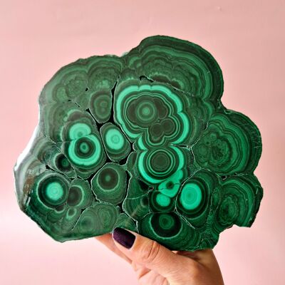 Fetta di malachite lucidata XXL – 1662 g – Pezzo decorativo di grande impatto