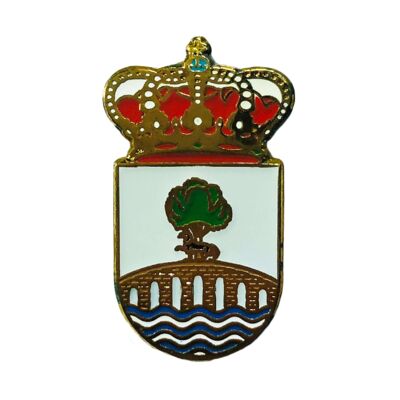 Pin - Escudo Valderredible - Cantabria - España