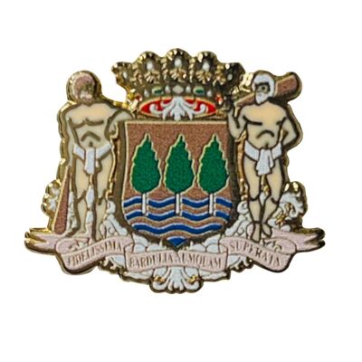Pin - Escudo Guipuzkoa (actual) - Guipúzcoa - España