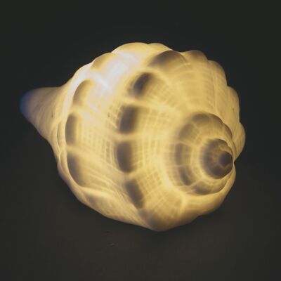 Coquillage décoratif en céramique à LED 8x5,5x3,8 cm, Océan