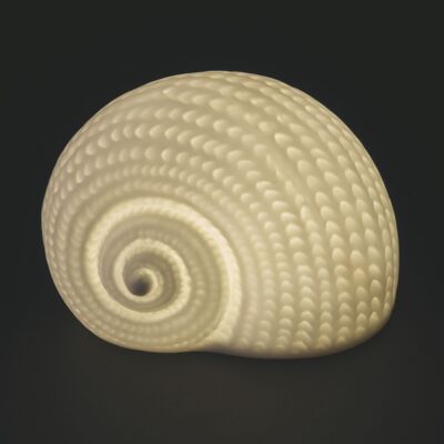 Coquillage décoratif en céramique à LED 11,3x7,6x8,1 cm, Océan