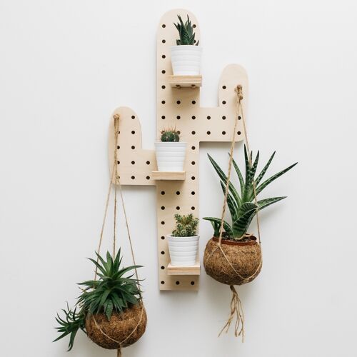 Pegboard Cactus