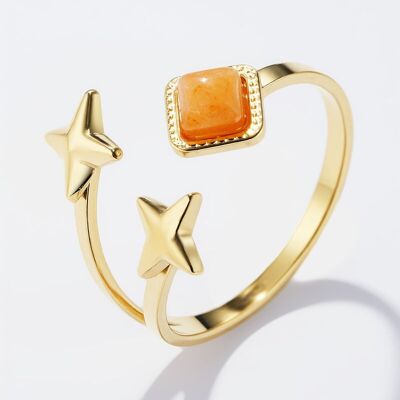 Anillos de acero inoxidable 424RX239