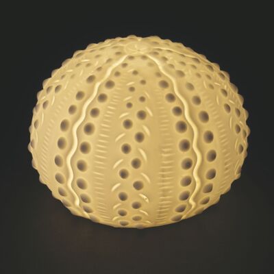 Erizo de mar decorativo de cerámica led 10,4x10,4x6,8 cm, Océano