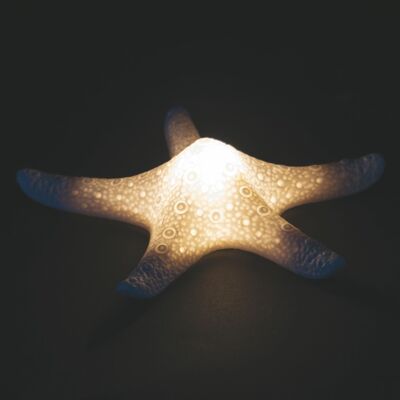 Estrella de mar decorativa de cerámica LED 15,8x14,6x4,5 cm, Océano