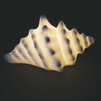 Concha decorativa de cerámica led 15x10,5x8,2 cm, Océano