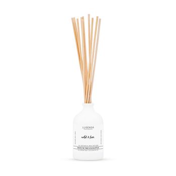 Diffuseur Roseau WILD & FREE 2