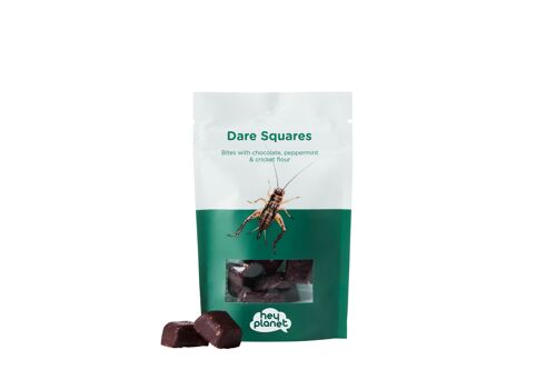Dare squares - peppermint & chocolate