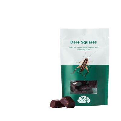 Dare squares - peppermint & chocolate