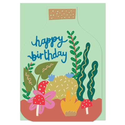 Terrario de Feliz Cumpleaños (BRS19)